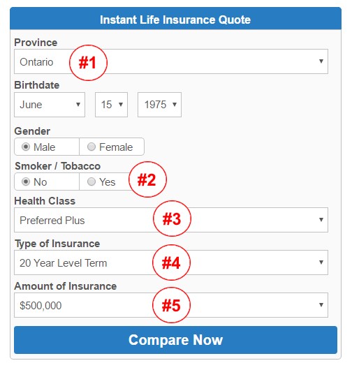 5 Pro Tips When Looking for Life Insurance Quotes in
